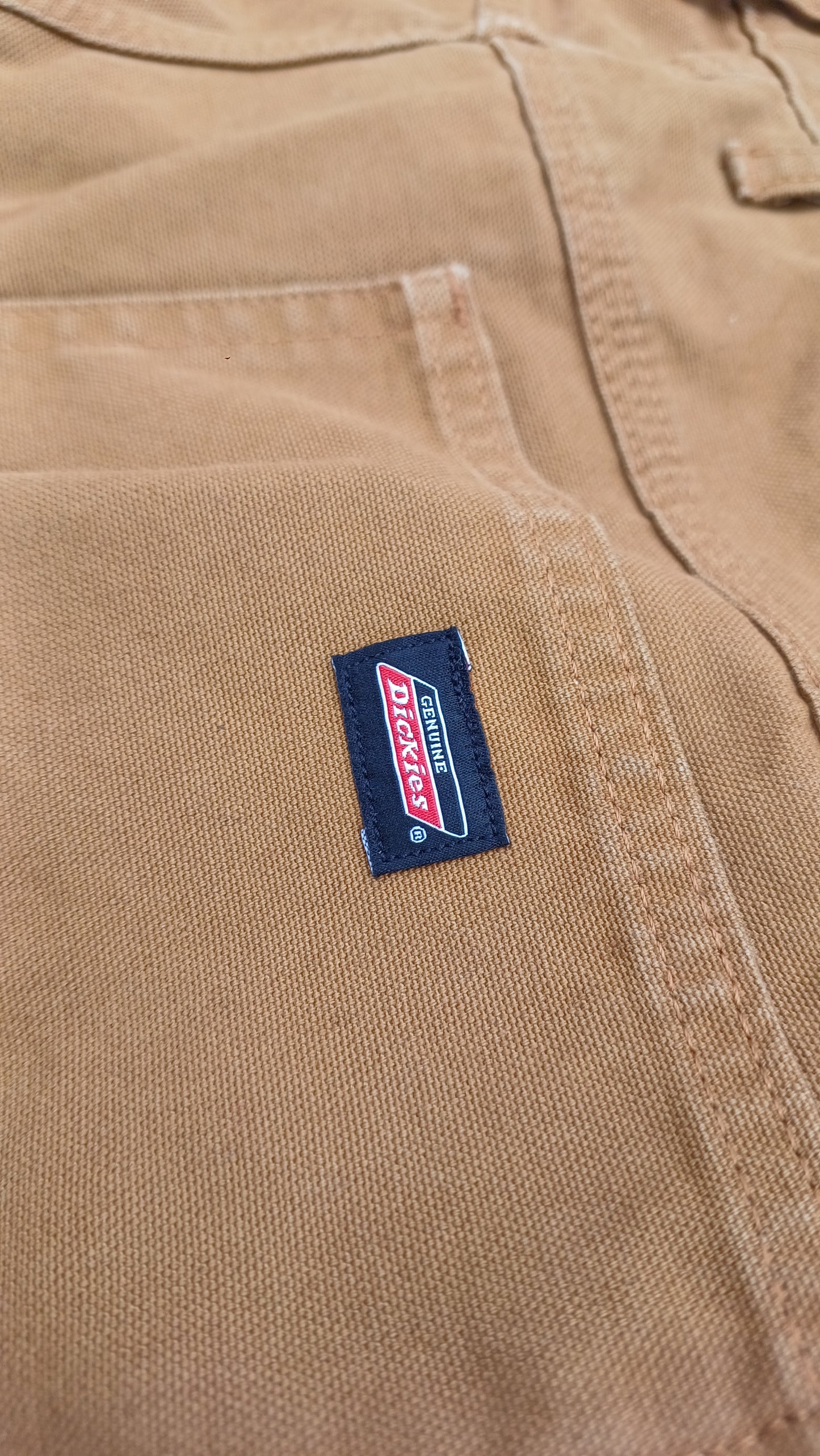 Dickies Carpenter Pants - Brown