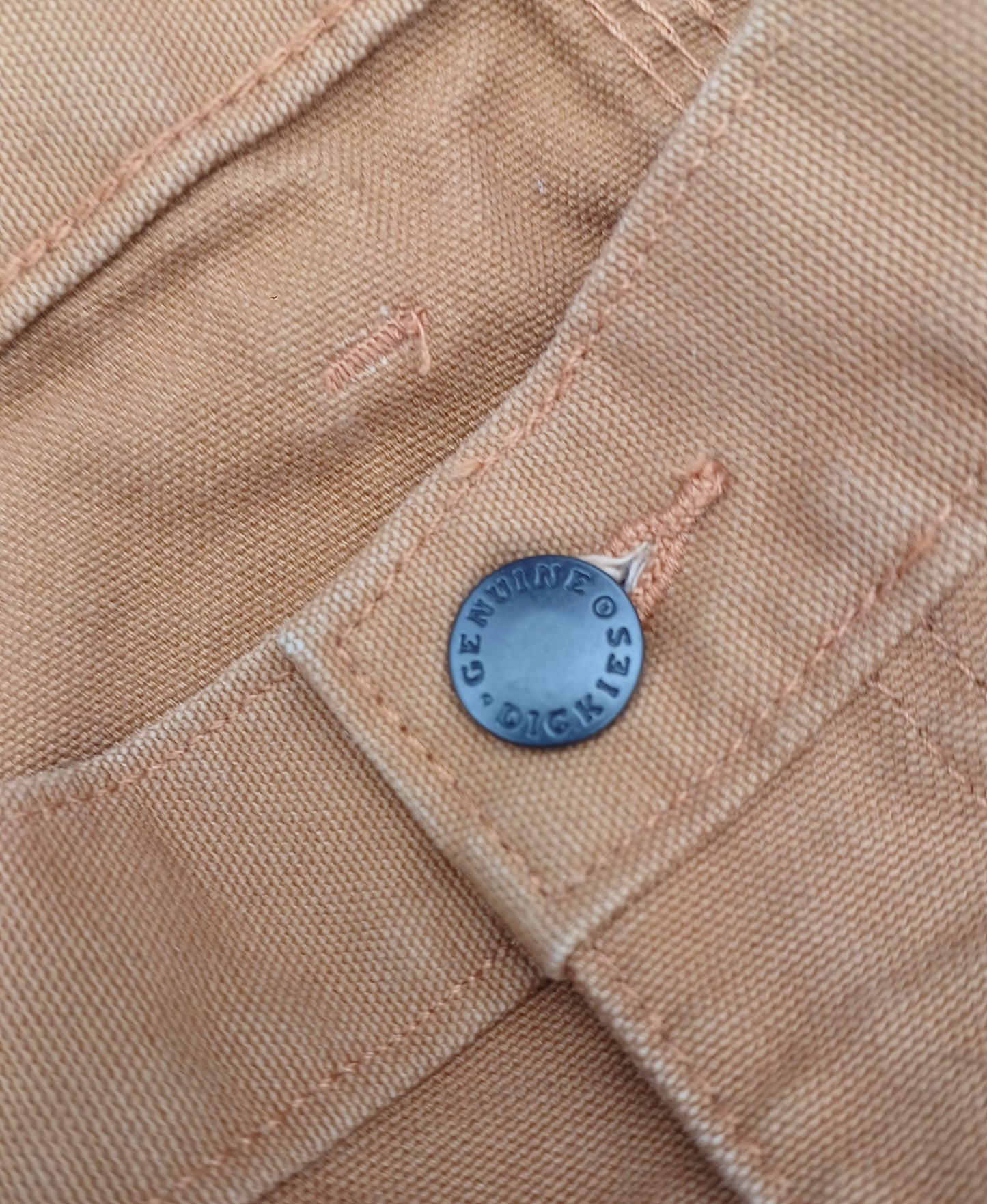 Dickies Carpenter Pants - Brown